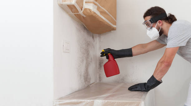 Professional Mold Removal technician working in Hayes, VA